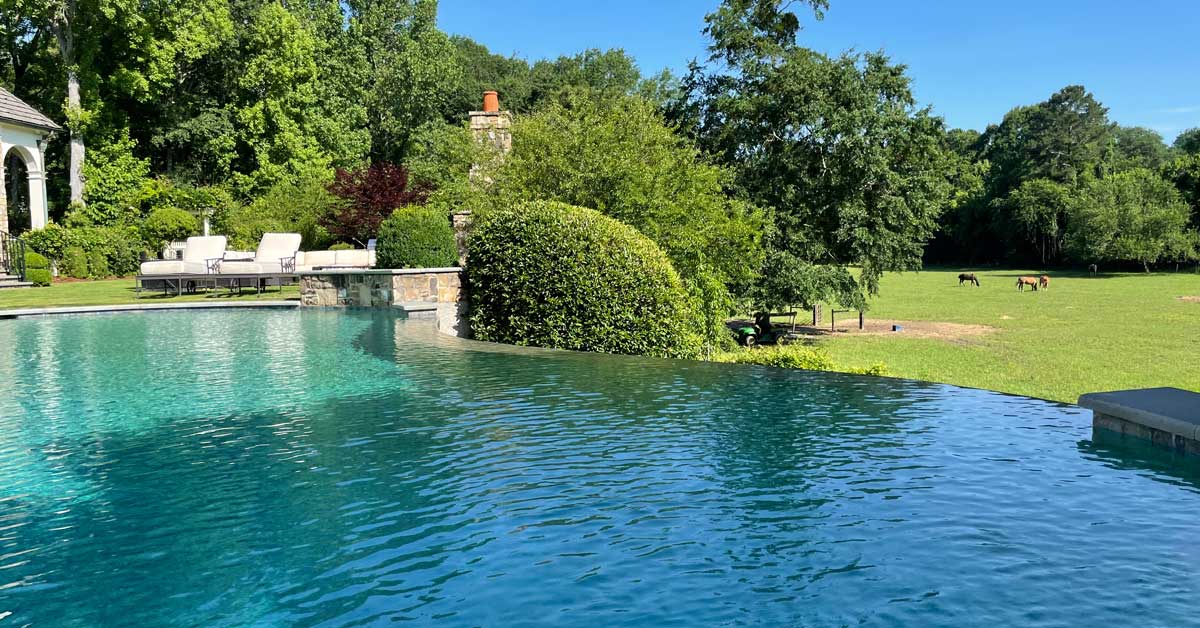 Client pool 13 maintained by Paces Pool Service